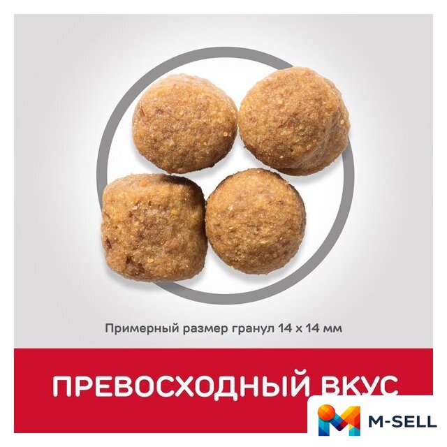 Сухой корм для собак Hill's SP для взрослых собак крупных пород, с ягненком и рисом 14 кг - Изображение №7 — Мульти e-магазин M-SELL