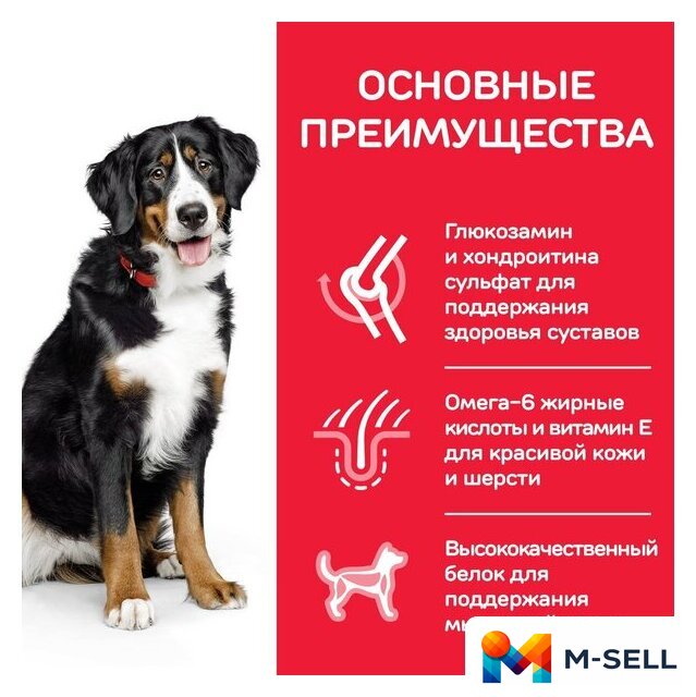 Сухой корм для собак Hill's SP для взрослых собак крупных пород, с ягненком и рисом 14 кг - Изображение №5 — Мульти e-магазин M-SELL