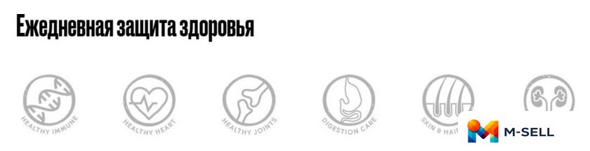 Сухой корм для собак Grandorf Medium & Maxi Breeds Turkey (с индейкой) 10 кг - Изображение №4 — Мульти e-магазин M-SELL
