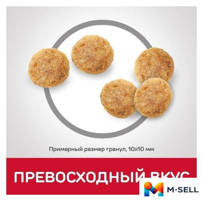 Сухой корм для кошек Hill's Science Plan Adult 1-6 Chicken для взрослых кошек для поддержания жизненной энергии и иммунитета, с курицей 3 кг - Изображение №2 — Мульти e-магазин M-SELL