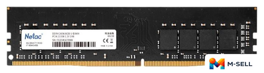 Оперативная память Netac Basic 8GB DDR4 PC4-25600 NTBSD4P32SP-08 - Изображение №1 — Мульти e-магазин M-SELL