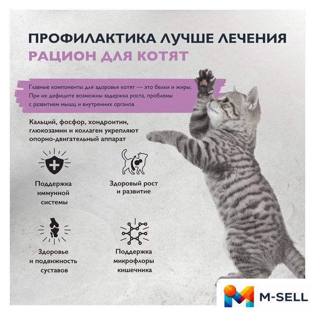 Сухой корм для кошек Brit care Superpremium Kitten с индейкой для котят, беременных и кормящих кошек (здоровый рост) 7 кг - Изображение №6 — Мульти e-магазин M-SELL
