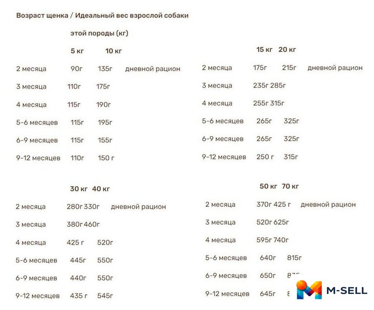 Сухой корм для собак Bosch My Friend+ Junior & Active 12 кг - Изображение №2 — Мульти e-магазин M-SELL
