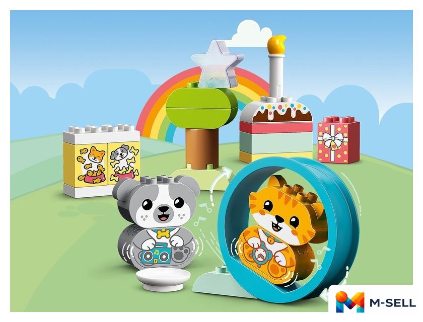 Конструктор LEGO Duplo 10977 Мой первый щенок и котёнок и их звуки - Изображение №8 — Мульти e-магазин M-SELL