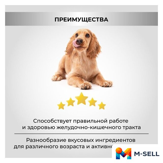 Сухой корм для собак Necon Для взрослых собак всех пород с индейкой и рисом (12 кг) - Изображение №7 — Мульти e-магазин M-SELL
