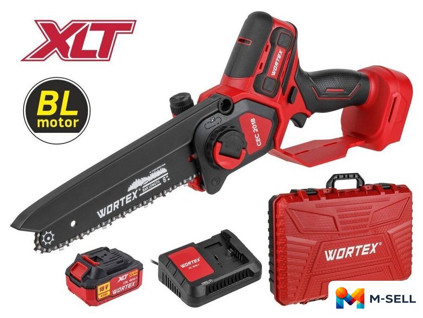 Аккумуляторная пила Wortex CEC 2018 ALL1 XLT Set 2329052 (с 1-им АКБ, кейс) - Изображение №1 — Мульти e-магазин M-SELL