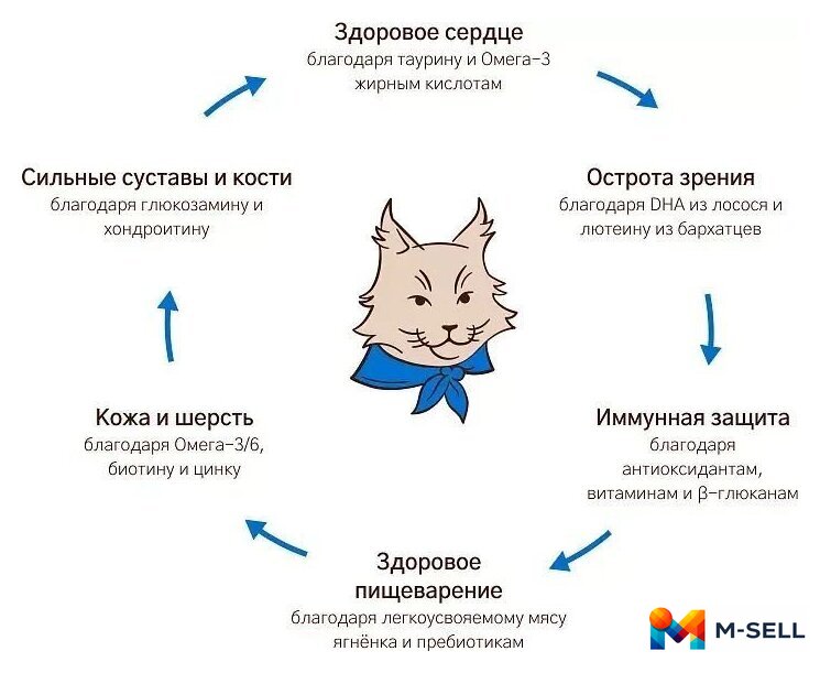 Сухой корм для кошек MyBestie Мэйн Кун (8 кг) - Изображение №7 — Мульти e-магазин M-SELL