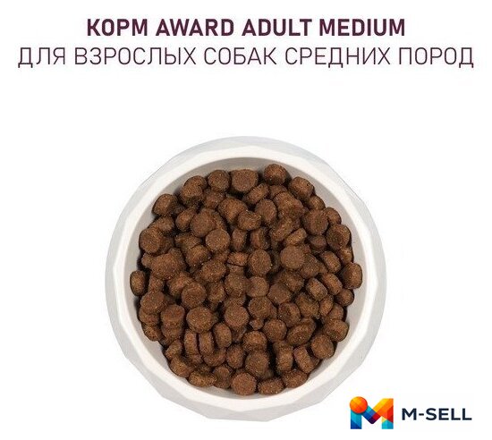 Сухой корм для собак Award Adult Medium для взрослых средних пород с индейкой, курицей с добавлением моркови и черной смородины 12 кг - Изображение №6 — Мульти e-магазин M-SELL