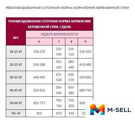 Сухой корм для собак Award Puppy All Breed для щенков всех пород с ягненком и индейкой с добавлением яблока и черники 12 кг - Изображение №9 — Мульти e-магазин M-SELL