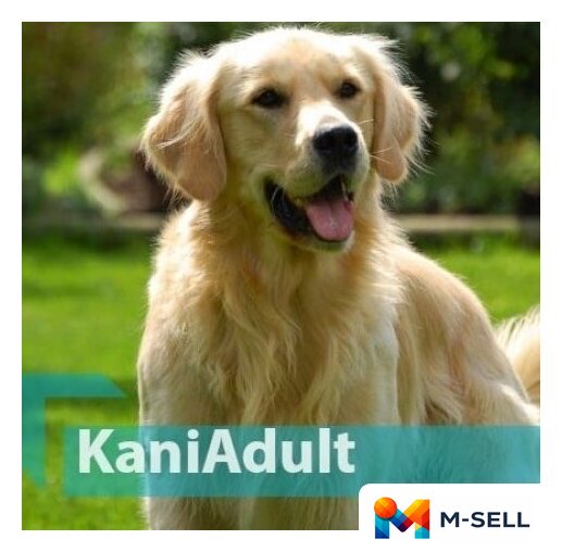 Сухой корм для собак Quicker Kani Chicken Adult 20 кг - Изображение №2 — Мульти e-магазин M-SELL