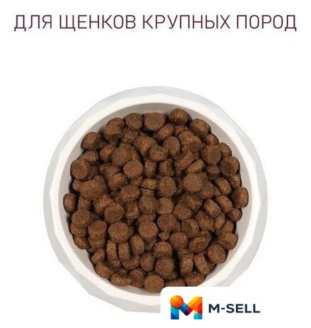 Сухой корм для собак Award Puppy Large для щенков крупных пород с курицей, индейкой с добавлением тыквы и шиповника 12 кг - Изображение №5 — Мульти e-магазин M-SELL