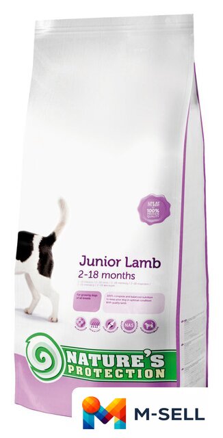 Сухой корм для собак Nature's Protection Junior Lamb 7.5 кг - Изображение №1 — Мульти e-магазин M-SELL