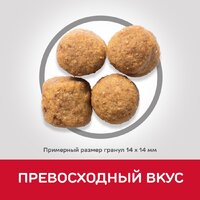 Сухой корм для собак Hill's SP для взрослых собак крупных пород, с ягненком и рисом 14 кг - Превью изображения №7 — Мульти e-магазин M-SELL