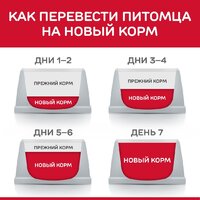 Сухой корм для собак Hill's SP для взрослых собак крупных пород, с ягненком и рисом 14 кг - Превью изображения №8 — Мульти e-магазин M-SELL
