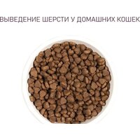 Сухой корм для кошек Award Adult Hairball & Indoor (для выведения шерсти с уткой и индейкой с добавлением зеленой чечевицы и Юкки Шидигера) 10 кг - Превью изображения №6 — Мульти e-магазин M-SELL