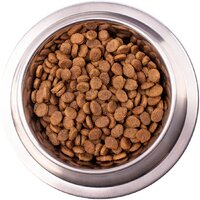 Сухой корм для собак Monge Vet Solution Dermatosis 12 кг - Превью изображения №3 — Мульти e-магазин M-SELL