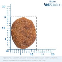 Сухой корм для собак Monge Vet Solution Dermatosis 12 кг - Превью изображения №9 — Мульти e-магазин M-SELL