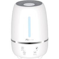 Pioneer HDS31