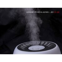 Увлажнитель воздуха Pioneer HDS31 - Превью изображения №2 — Мульти e-магазин M-SELL