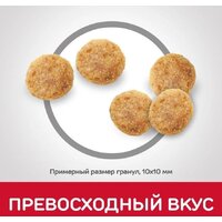 Сухой корм для кошек Hill's Science Plan Adult 1-6 Chicken для взрослых кошек для поддержания жизненной энергии и иммунитета, с курицей 3 кг - Превью изображения №2 — Мульти e-магазин M-SELL