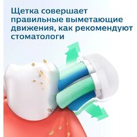 Электрическая зубная щетка Philips 1100 Series HX3641/11 - Превью изображения №12 — Мульти e-магазин M-SELL