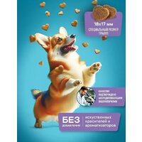 Сухой корм для собак Hitstick Мясное ассорти 10 кг - Превью изображения №4 — Мульти e-магазин M-SELL