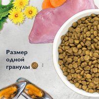 Сухой корм для кошек Brit Care Sensitive Healthy Digestion с индейкой и ягненком 7 кг - Превью изображения №9 — Мульти e-магазин M-SELL