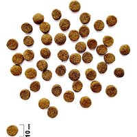 Сухой корм для кошек Brit Care Cat Sterilised Urinary Care с индейкой и уткой 7 кг - Превью изображения №6 — Мульти e-магазин M-SELL