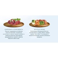 Сухой корм для собак HappyOne Mediterraneum беззерновой со свежим яйцом и свежим мясом ягненка 12 кг - Превью изображения №5 — Мульти e-магазин M-SELL
