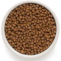 Сухой корм для собак Grandorf Dog Puppy Lamb & Turkey (с ягненком и индейкой) 10 кг - Превью изображения №3 — Мульти e-магазин M-SELL