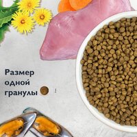 Сухой корм для кошек Brit care Superpremium Kitten с индейкой для котят, беременных и кормящих кошек (здоровый рост) 7 кг - Превью изображения №9 — Мульти e-магазин M-SELL