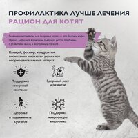 Сухой корм для кошек Brit care Superpremium Kitten с индейкой для котят, беременных и кормящих кошек (здоровый рост) 7 кг - Превью изображения №6 — Мульти e-магазин M-SELL