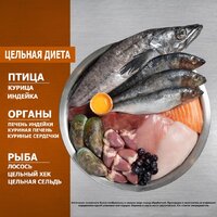 Сухой корм для собак Orijen Dog Puppy Small Breed 1.8 кг - Превью изображения №3 — Мульти e-магазин M-SELL