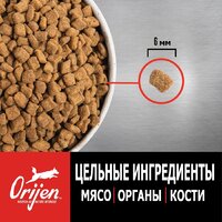 Сухой корм для собак Orijen Dog Puppy Small Breed 1.8 кг - Превью изображения №5 — Мульти e-магазин M-SELL