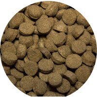 Сухой корм для собак All Dogs для взрослых собак с говядиной и овощами 20 кг - Превью изображения №7 — Мульти e-магазин M-SELL