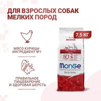 Сухой корм для собак Monge Daily Line Mini с курицей (7.5 кг) - Превью изображения №6 — Мульти e-магазин M-SELL