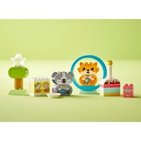 Конструктор LEGO Duplo 10977 Мой первый щенок и котёнок и их звуки - Превью изображения №6 — Мульти e-магазин M-SELL