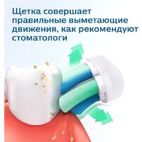 Электрическая зубная щетка Philips 3100 series HX3673/13 - Превью изображения №8 — Мульти e-магазин M-SELL