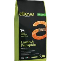 Alleva Natural Lamb & Pumpkin Medium/Maxi (ягненок с тыквой) 12 кг