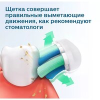 Электрическая зубная щетка Philips Sonicare 2100 Series HX3651/12 - Превью изображения №11 — Мульти e-магазин M-SELL