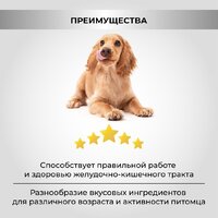 Сухой корм для собак Necon Для взрослых собак всех пород с индейкой и рисом (12 кг) - Превью изображения №7 — Мульти e-магазин M-SELL
