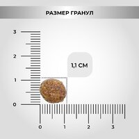 Сухой корм для собак Necon Для взрослых собак всех пород с индейкой и рисом (12 кг) - Превью изображения №11 — Мульти e-магазин M-SELL