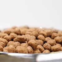 Сухой корм для собак Necon Для взрослых собак всех пород с индейкой и рисом (12 кг) - Превью изображения №3 — Мульти e-магазин M-SELL