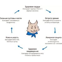 Сухой корм для кошек MyBestie Мэйн Кун (8 кг) - Превью изображения №7 — Мульти e-магазин M-SELL