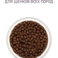 Сухой корм для собак Award Puppy All Breed для щенков всех пород с ягненком и индейкой с добавлением яблока и черники 12 кг - Превью изображения №5 — Мульти e-магазин M-SELL