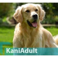 Сухой корм для собак Quicker Kani Chicken Adult 20 кг - Превью изображения №2 — Мульти e-магазин M-SELL