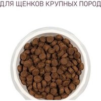 Сухой корм для собак Award Puppy Large для щенков крупных пород с курицей, индейкой с добавлением тыквы и шиповника 12 кг - Превью изображения №5 — Мульти e-магазин M-SELL