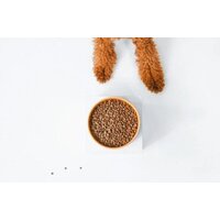 Сухой корм для собак Nature's Protection SC Red Coat Grain Free Salmon NPSC47229 10 кг - Превью изображения №2 — Мульти e-магазин M-SELL