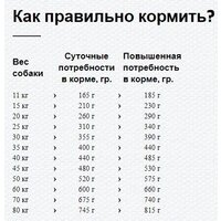 Сухой корм для собак Happy Dog Sensible France утка, картофель 60554 11 кг - Превью изображения №4 — Мульти e-магазин M-SELL